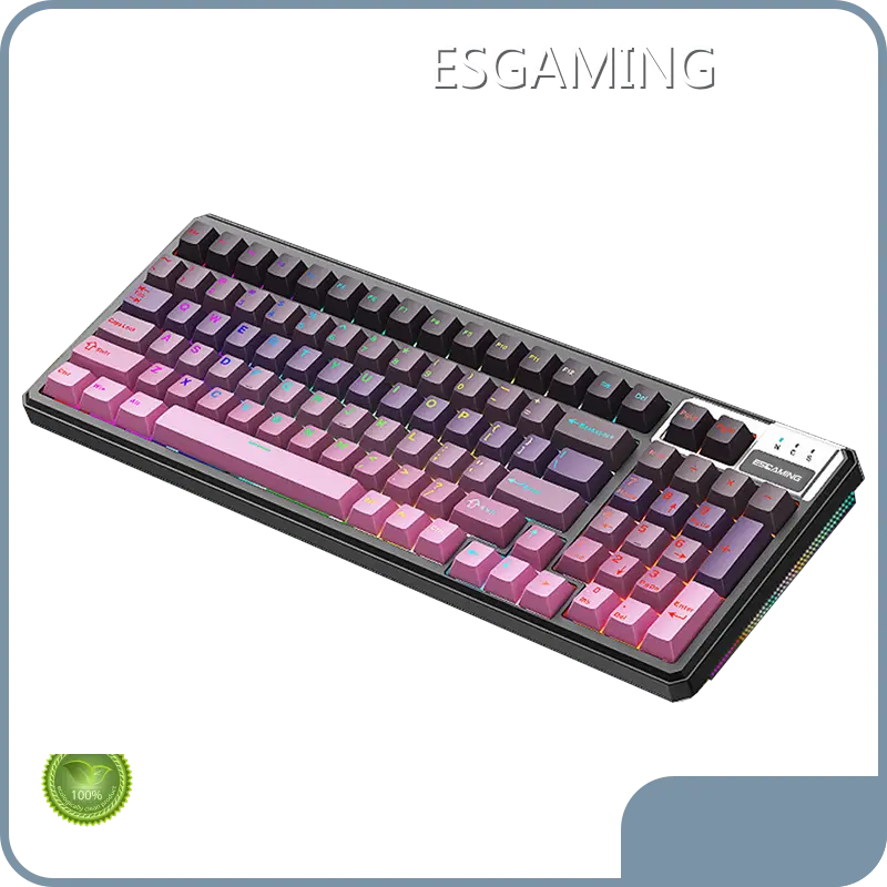 Personal PC Manufacturer ESGAMING - - ESGAMING 1