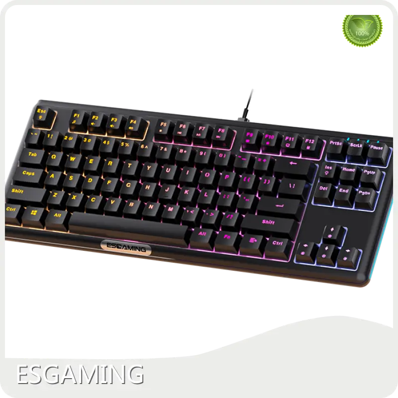 Steady Personal PC Supplier 7day - - ESGAMING 1