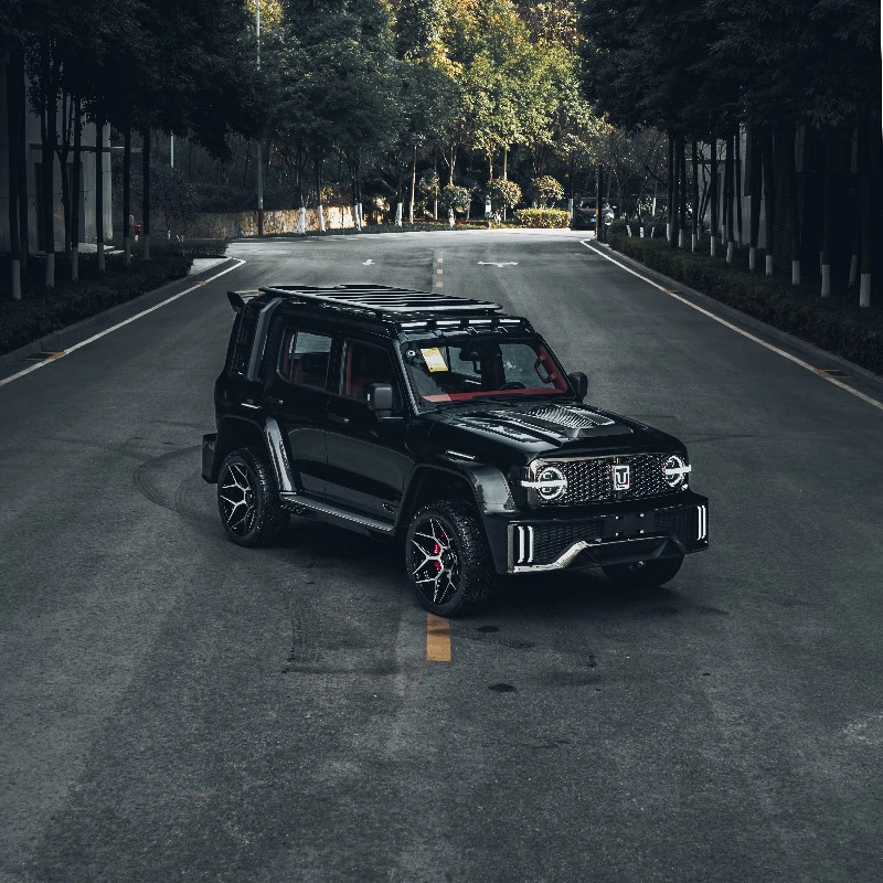 La combinaison parfaite de puissance et de vitesse est le Tank 300. La couleur de la carrosserie, la structure extérieure et la fonction raffinée vous rendent unique 1