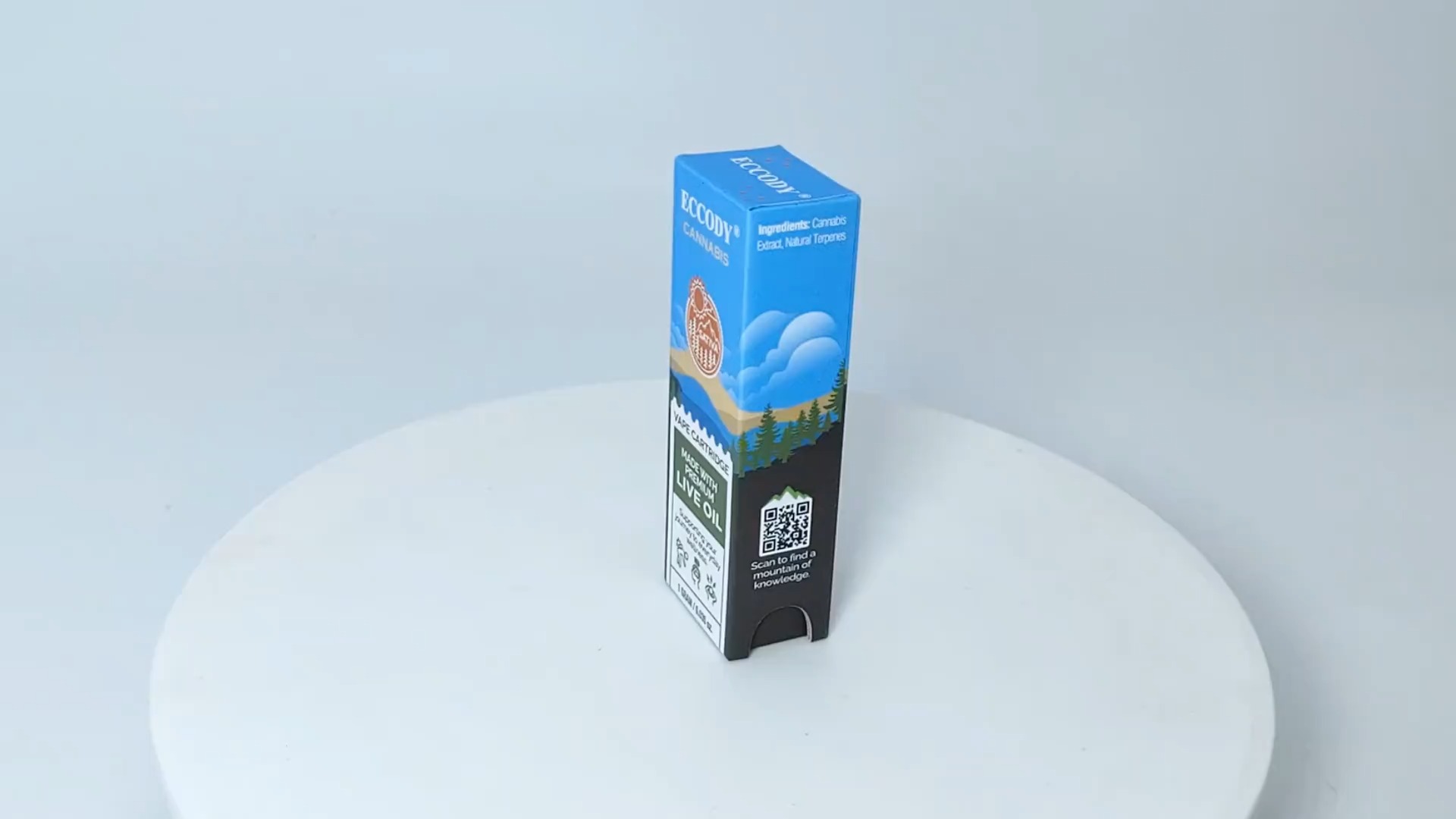 Kindersichere, stoßfeste EVA-Verpackungsbox für Vape-Kartuschen 1