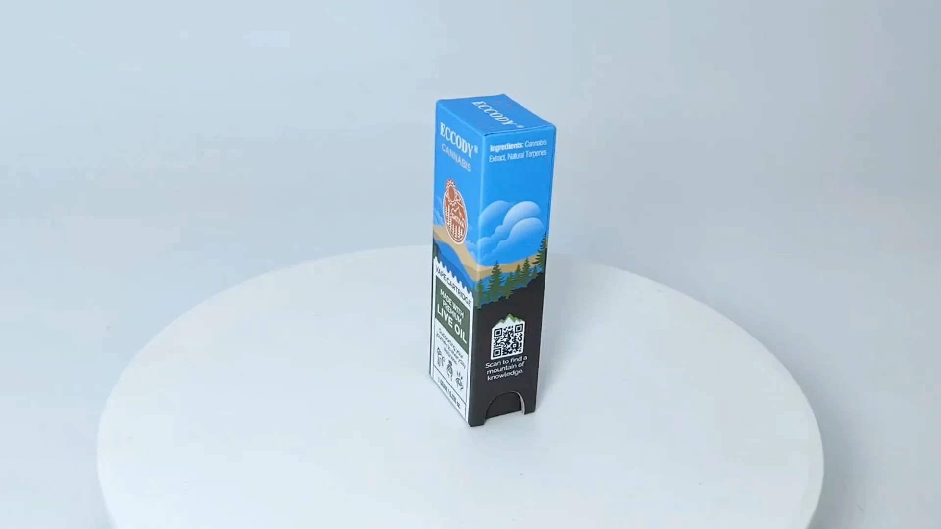 Child Resistant EVA shockproof vape cartridge packaging box 1