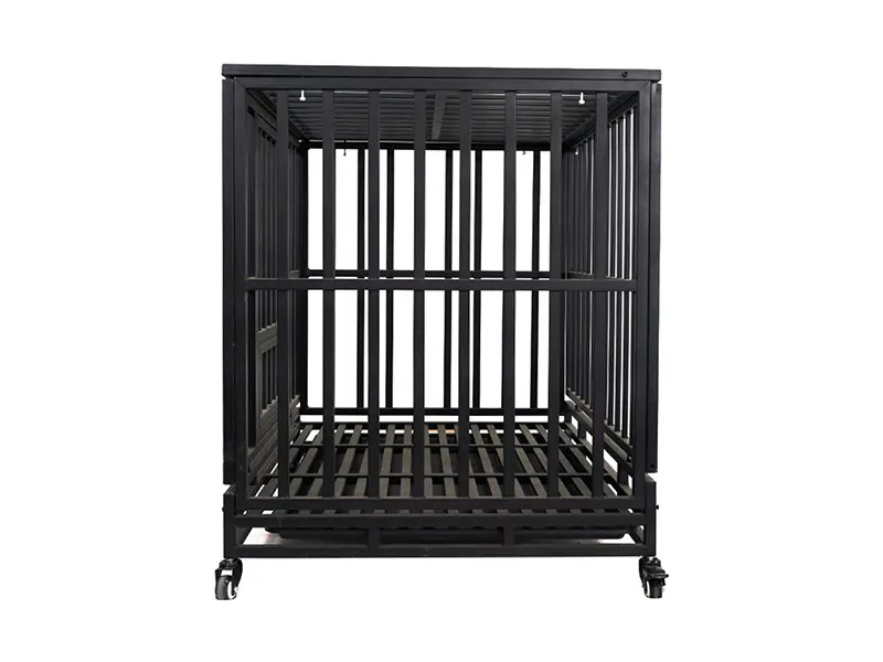 Breeding Cage Factory Sparkling Silver; 4