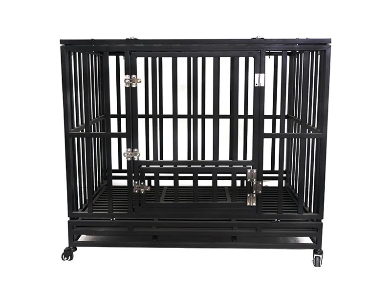 Foldable Freedom: What You Need to Know About Portable Dog Cages 1