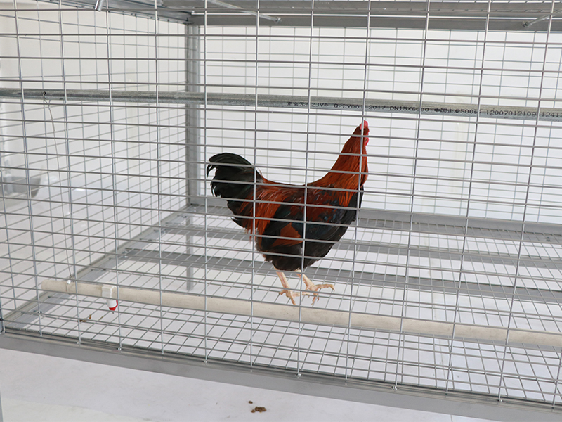 Galvanized metal chicken cage for free range broiler chickens 2