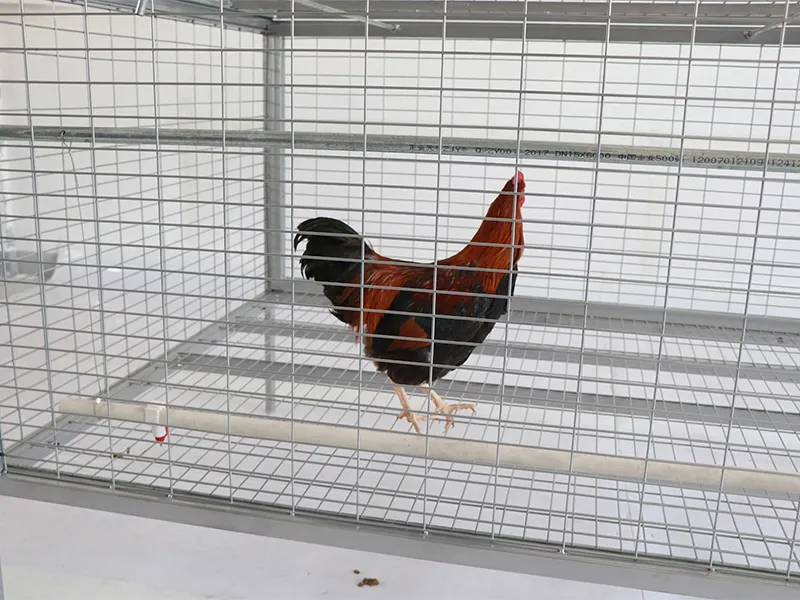 Outdoor Chicken Cage Black; Electrophoresis;manufacturing 2