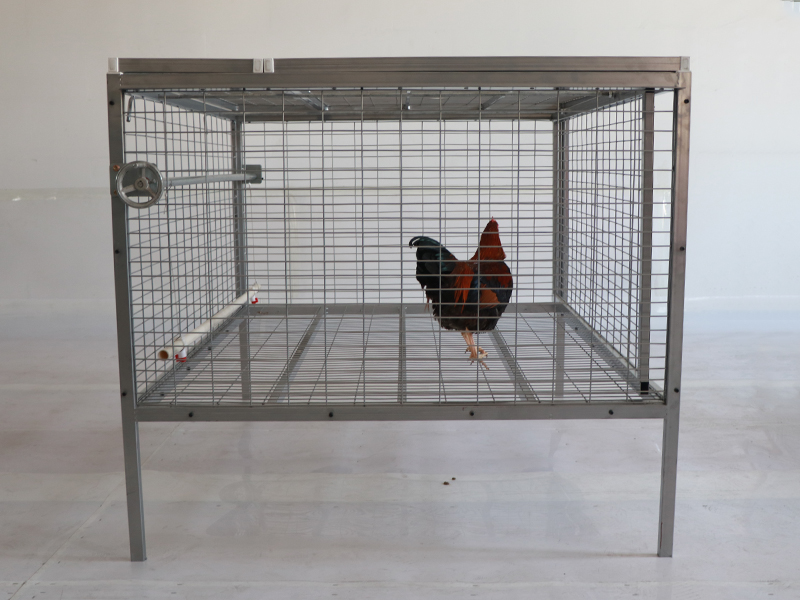 Galvanized metal chicken cage for free range broiler chickens 3