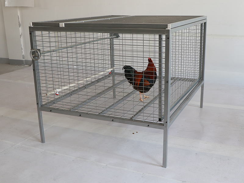 Galvanized metal chicken cage for free range broiler chickens 4