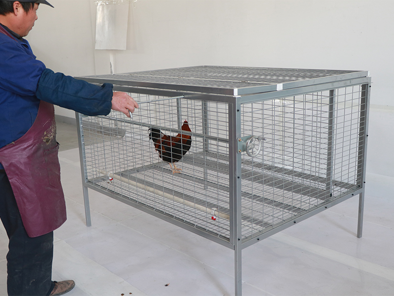 Galvanized metal chicken cage for free range broiler chickens 5