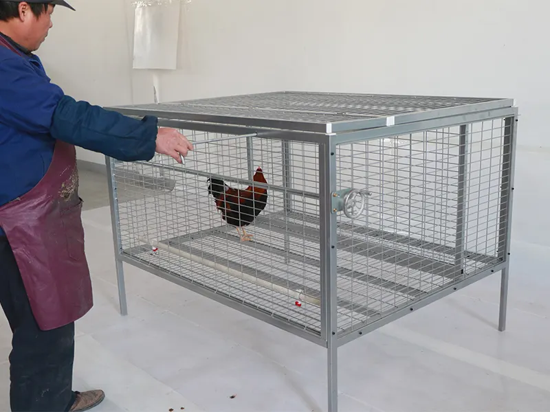 Outdoor Chicken Cage Black; Electrophoresis;manufacturing 5