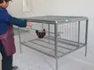 Outdoor Chicken Cage Black; Electrophoresis;manufacturing 5