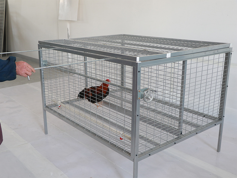 Galvanized metal chicken cage for free range broiler chickens 6