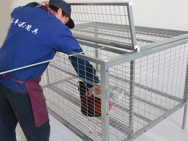Outdoor Chicken Cage Black; Electrophoresis;manufacturing 8