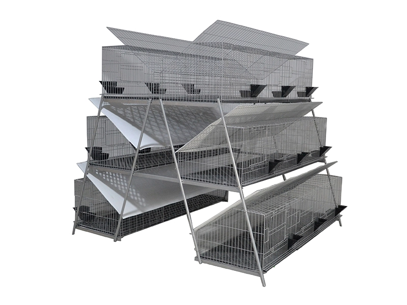 Cage à lapins double face étagée avec trois couches de 18 positions 1