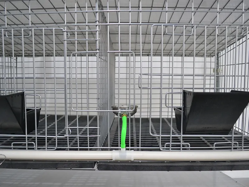 Lefeng Cage Cage Factory Rex Rabbit Cage Factorysupplier 3