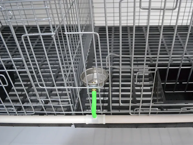 Lefeng Cage Cage Factory Rex Rabbit Cage Factorysupplier 4