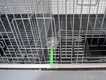 Lefeng Cage Cage Factory Rex Rabbit Cage Factorysupplier 4