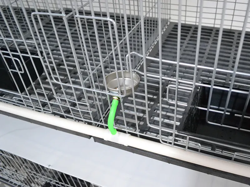 Lefeng Cage Cage Factory Rex Rabbit Cage Factorysupplier 5
