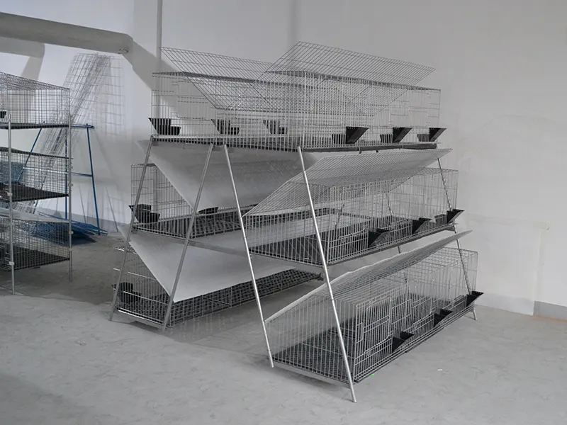 Lefeng Cage Cage Factory Rex Rabbit Cage Factorysupplier 6