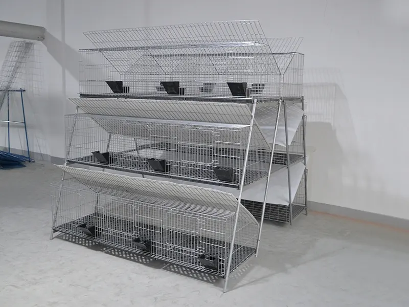 Lefeng Cage Cage Factory Rex Rabbit Cage Factorysupplier 8
