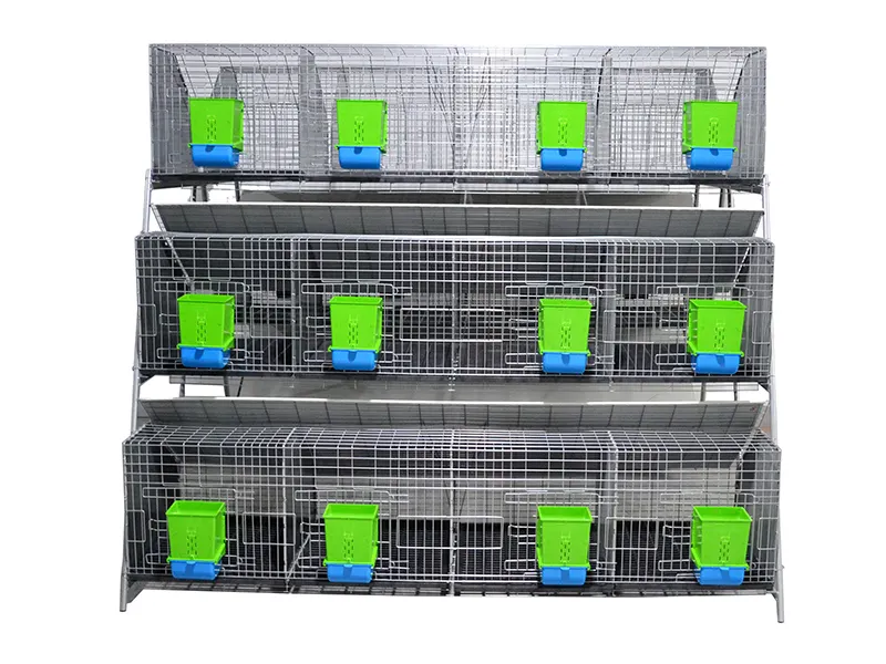 Integrating Tech into Rabbit Farming Cages for Better Management 1