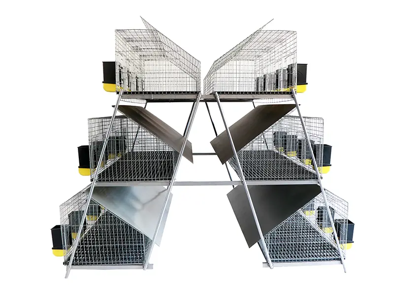 The Ultimate Guide to Rabbit Breeding Cage Maintenance and Cleaning 1