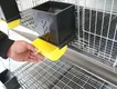 Lefeng Cage Chicken Breeding Cages SPYFTL50QA3Bfactory Price 8
