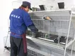 Lefeng Cage Chicken Breeding Cages SPYFTL50QA3Bfactory Price 6
