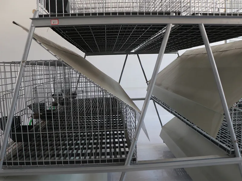 Lefeng Cage Chicken Breeding Cages SPYFTL50QA3Bfactory Price 9