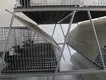 Lefeng Cage Chicken Breeding Cages SPYFTL50QA3Bfactory Price 9