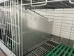 Lefeng Cage Rabbit Cage Suppliers Petrabbit Breeding and Fattening of Meat Rabbit Rabbit Cage Suppliersfactory 5