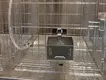 Custom Dog Cage Made in China 5