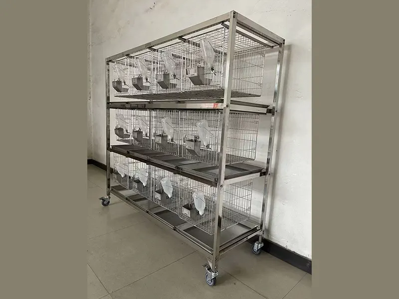 Materials Science: Advancements in Laboratory Cage Durability 1