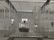 Custom Dog Cage Made in China 2