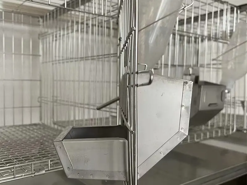 Custom Dog Cage Made in China 4