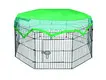Cost-Effective Outdoor Chicken Hutch Price List 2