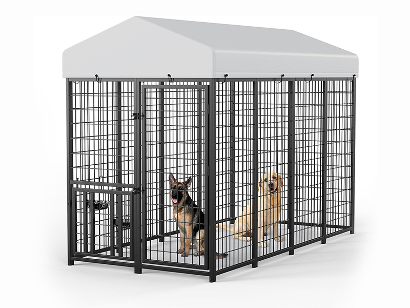 Rugged Outdoor Dog Kennel Secure Weatherproof 6