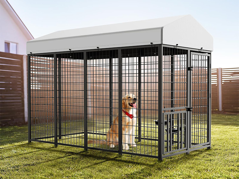 Rugged Outdoor Dog Kennel Secure Weatherproof 1