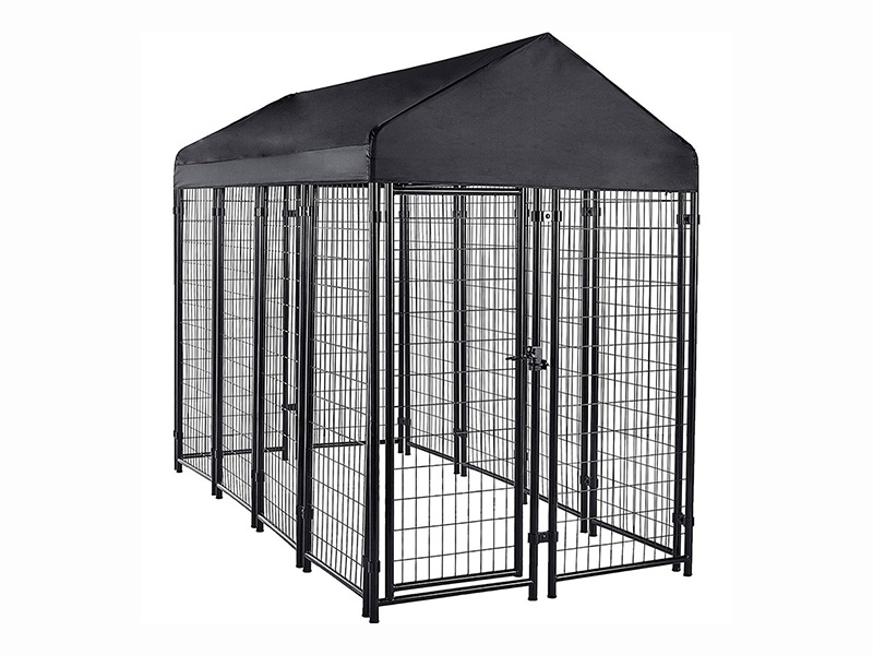 Rugged Outdoor Dog Kennel Secure Weatherproof 3