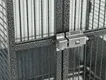 Lefeng Cage Cage Supplier Manufacturing 9