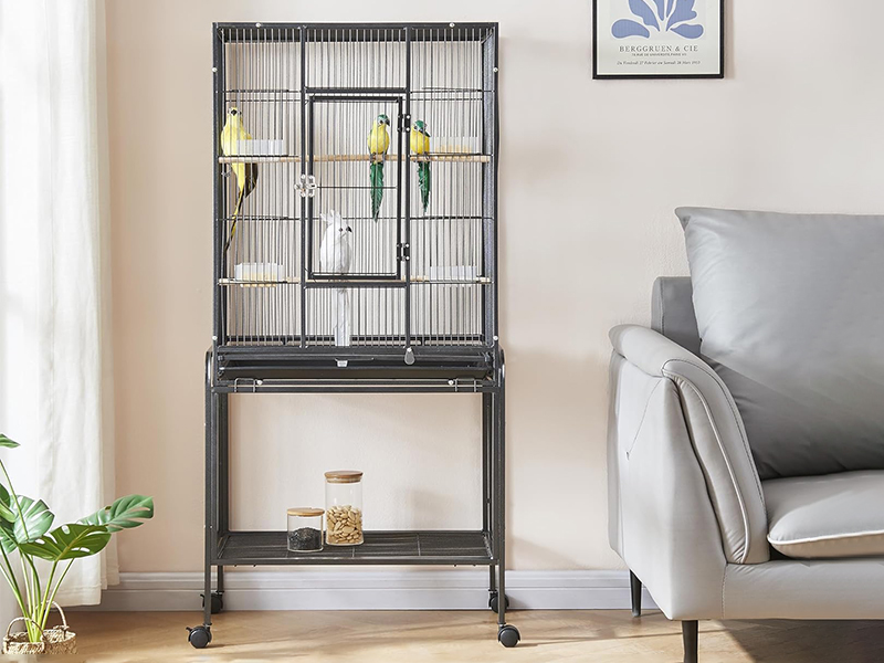 Black Steel Metal Pet Parrot Cage Premium Quality 7
