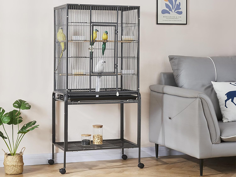 Black Steel Metal Pet Parrot Cage Premium Quality 3