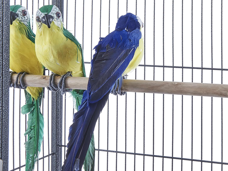 Black Steel Metal Pet Parrot Cage Premium Quality 8
