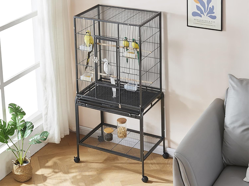 Black Steel Metal Pet Parrot Cage Premium Quality 5
