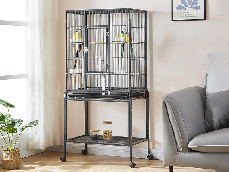 Black Steel Metal Pet Parrot Cage Premium Quality 4