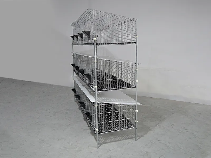 Bird Cage 50cm Wide X 60cm Deep (optional Specifications) by Lefeng Cage 3