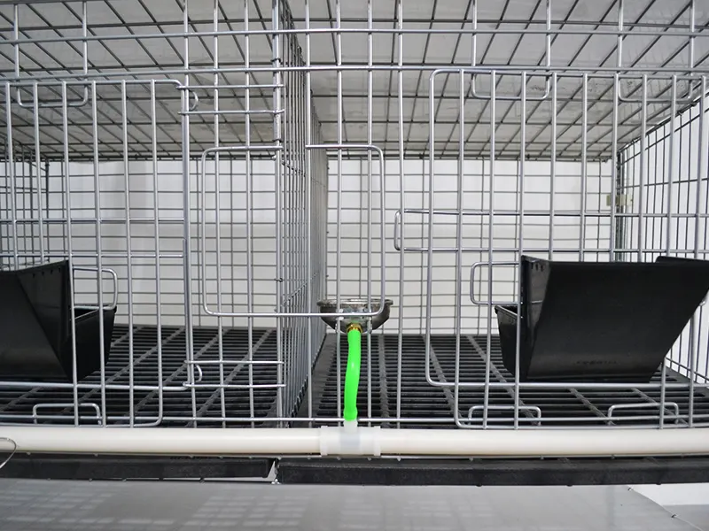 Bird Cage 50cm Wide X 60cm Deep (optional Specifications) by Lefeng Cage 4