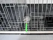 Bird Cage 50cm Wide X 60cm Deep (optional Specifications) by Lefeng Cage 5
