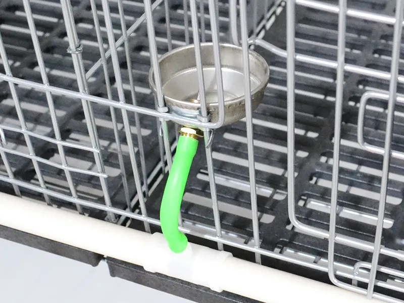 Bird Cage 50cm Wide X 60cm Deep (optional Specifications) by Lefeng Cage 7