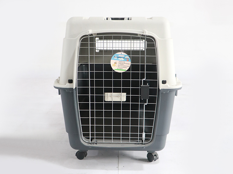 Cage d'aviation 1