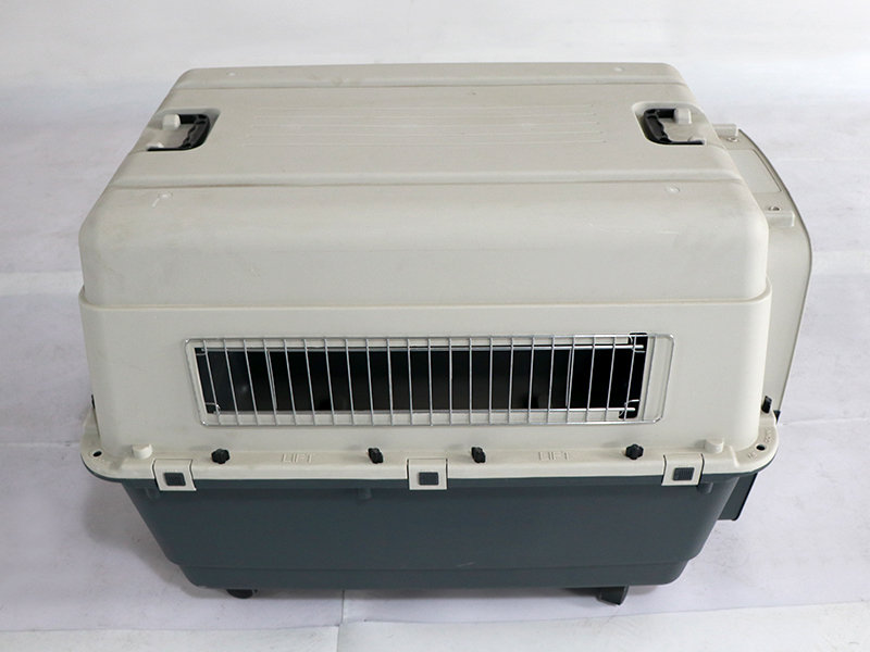 Cage d'aviation 5